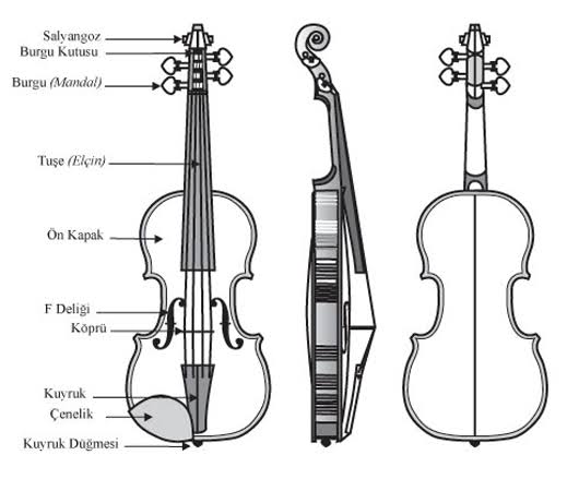 Виолончель строение инструмента схема