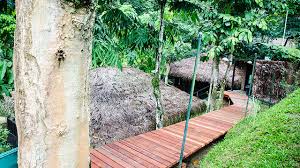 Ramai yang tak tahu sebenarnya tanah aina ini adalah rangkaian resort. Tanah Aina Farrah Soraya Resort Huislaw Com