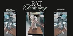 Rat Taxidermy Workshop - Abbotsford, BC
