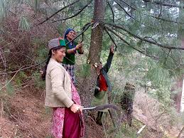 Image result for kinnaur