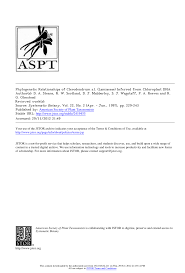 Image result for Clerodendrum pleiosciadium