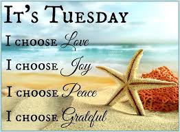A lot of busy days till the weekend are still left, but we have a good solution for you. Happy Tuesday Quotes Funny Tuesday Morning Images And Sayings
