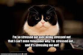 Pin On Funny Stuff That Makes My Day