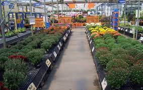 Nursery or garden center) is a retail operation that sells plants and related products for the domestic garden as its primary business. Visit Your Local Garden Store Central Pennsylvania Stauffers Garden Services Garden Garden On A Hill