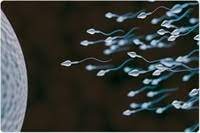 Slavitt talks vaccines and a healthy dose succession plan. Increasing Semen Volume