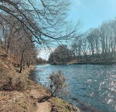 Autumnal walks in Aberdeen