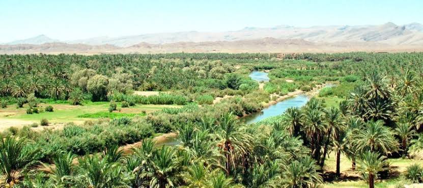 Guide de l'oasis Nekob Nkob, au Maroc. H&ocirc;tels &agrave; Nkob