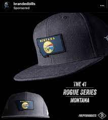 Pin By James Davis On Peak To Sky 2020 Merch Hat Designs Hat Ideas Baseball Hats