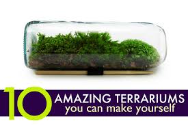 With a little creative thinking, you can repurposed glass jars can be used to store seeds, plant tags and ties, plant labels, preserves. Diy 10 Amazing Homemade Terrariums That Make Perfect Holiday Gifts