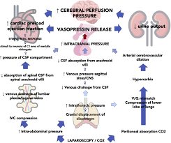 Image result for Cushing Response