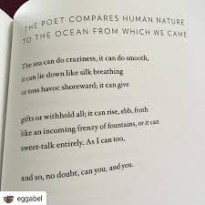Rip Mary Oliver Eggabel Poetry Athousandmornings 5womenartists Mary Oliver Bookstore Human Nature