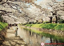 Phim vũ khí chiến tranh khoa học viễn tưỡng. Ä'iá»ƒm Danh 10 Loai Hoa Ä'áº¹p Nháº¥t Nháº­t Báº£n Ä'a Ngáº¯m La Khong Thá»ƒ Rá»i Máº¯t