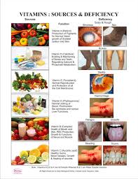 Dbios Vitamins Sources Deficiency Digital Print Nutrition