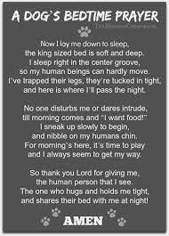 In your infinite wisdom, lord god, when you created the universe you blessed us with all living creatures. Prayer For Sick Dog Doggies