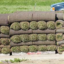 Read This Before Laying Sod Sod Installation How To Lay Sod Small Backyard Landscaping