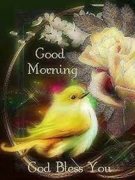 Birds good morning today image Greetings Images - Imagez