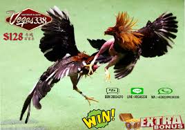 Kumpulan gambar lucu banget yang kocak dan paling unik (bergerak, animasi kartun, kata kata bahasa jawa. Jadwal Aduan Sabung Ayam Filipina S128 Jadwal Main Sabun