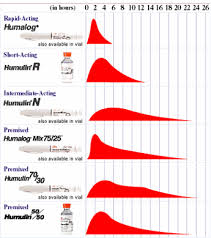 Canines With Diabetes Mellitus Information On Insulin