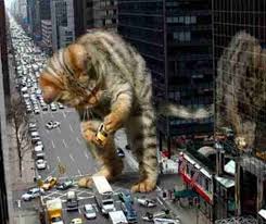 Catzilla Funny Cat Jokes Cat Jokes Funny Jokes For Kids