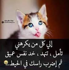 وسهلين تفضلا ما فيه شي من واجبكم هااي الطعام و هناك الشراب أنا بعتذر اذا لزمكم شي نادولي وانصرفت لغرفتي تكاد تتقطع انفاسي رميت بنفسي على السرير واذا بالهاتف. ÙƒÙ„ ÙŠÙˆÙ… Ø­ÙƒÙ…Ù‡ Ø­Ø²ÙŠÙ†Ù‡ ØªÙ‚Ø·Ø¹ Ø§Ù„Ù‚Ù„Ø¨ ÙˆØªØ®Ù„ÙŠÙƒ Ù…Ù†Ø·ÙÙ‰ Home Facebook
