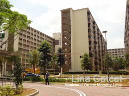 The rail corridor, near the clementi woodland, in greener days. Mimiworld On The Memory Lane Memories Of Tanglin Halt Estates