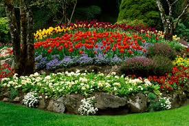 Check spelling or type a new query. Seasonal Flower Installation In Catonsville Ellicott City Arbutus Md