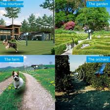 However, they do negatively affect other domesticated animals such as rabbits most anecdotal and scientific evidence indicates that ultrasonic pest repellers would not have a negative effect on pet birds in the home. Solar Power Garden Cat Dog Fox Repellent Ultrasonic Pest Animal Repeller Outdoor Buy From 17 On Joom E Commerce Platform