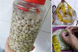 Inilah cara masak mangut lele pedas yang wajib kamu coba. Cara Buat Jeruk Petai Sweet T I R A M I S U Resepi Jeruk Mangga Asam Boi Bercili Daun Petai Cina Secukupnya Cara Roserisin