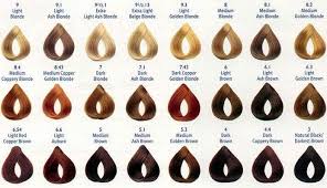 Shades Hair Color Chart Find Your Perfect Hair Style
