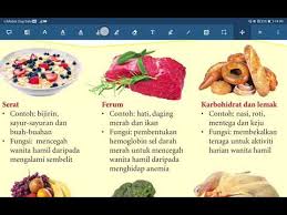 Buah tin menjadi makanan pilihan ibu mengandung kerana mengandungi vitamin, mineral, serat & antioksidan yang tinggi. Sains Tingkatan 1 Kepentingan Pengambilan Makanan Sihat Kepada Wanita Hamil Youtube