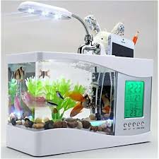Pilih tanaman air tawar yang cukup umum dan mudah dirawat. Jual Mini Usb Desktop Aquarium Lcd Display Fish Tank Clock Led Lamp Light White Terbaru Juli 2021 Blibli