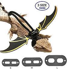 Amazon Com Chickustore Adjustable Bearded Dragon Harness Leash Leather 3 Pack Different Size S Bearded Dragon Harness Bearded Dragon Bearded Dragon Clothes