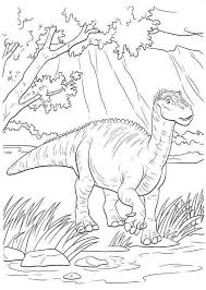 Feathered velociraptor dinosaur coloring page. 35 Free Printable Dinosaur Coloring Pages