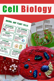 Maybe you would like to learn more about one of these? Pin On Key Stage 3 Science
