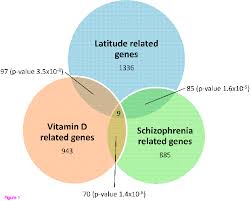 Overview Schizophrenia And Vitamin D