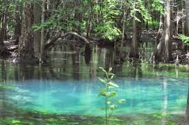 Florida caverns state park is located 3 miles north of marianna, off of u.s. Canoe Trip Picture Of Florida Caverns State Park Marianna Tripadvisor