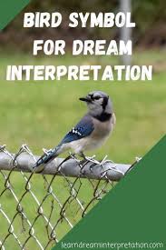 Bird On A Wire Meaning Dreaming Of Birds Learn Dream Interpretation In 2020 Dream Meanings Dream Interpretation Dream Symbols