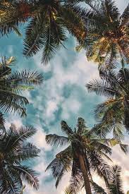 Performance Woven Shirts Hd Nature Wallpapers Landscape Wallpaper Scenery Wallpaper