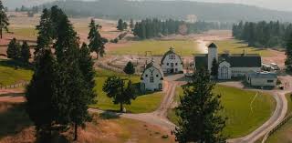 Image result