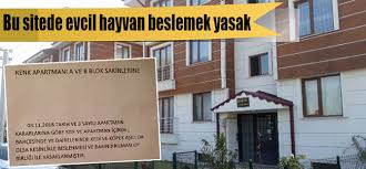 Bu Sitede Evcil Hayvan Beslemek Yasak