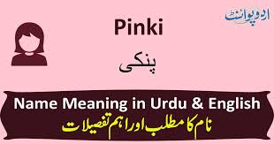 The last littlest finger at the outside of the hand. Pinki Name Meaning In Urdu Ù¾Ù†Ú©ÛŒ Pinki Muslim Girl Name