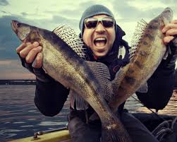 101 Funny Fish Puns That Explore Every Angler