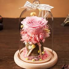 Home decor vases glass flower display cloche bell jar dome immortal preservation + wooden base everlasting flower glass cover. Preserved Rose In Glass Dome From Apollo Box Flower Gift Ideas Preserved Roses Arrangement How To Preserve Flowers