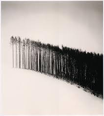 tumblr lbv41ypnm41qzbcgoo1 1280 png 1143 1280 black and white landscape art photography white photography