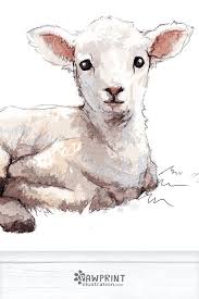 Lamb Farm Animals Nursery Art Print Children S Wall Art Farbenrausch Und Pin Lamb Farm Animals Farm Animal Nursery Sheep Art Farm Animal Nursery Art