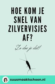 Pin Op Huishouden Schoonmaken