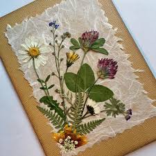 Northwest Wildflowers Card Dried Pressed Flower Card Boho Etsy In 2020 Flower Cards Handmade Pressed Flower Crafts Flower Cards