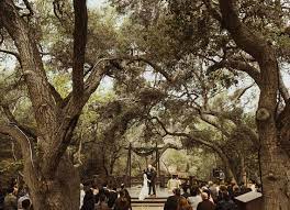 Isaiah Taylor Photography Oak Tree Wedding Orange County Oak Tree Wedding Southern California Wedding Venues Outdoor Wedding Venues