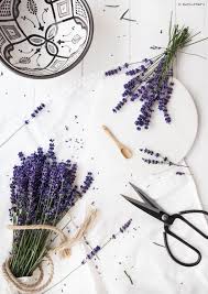 Earl Grey Lavendel Eis Vegan Duni Cheri Lavendel Kreative Visitenkarten Produktfotografie