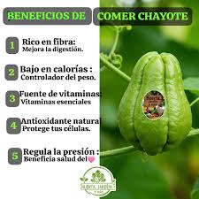Ligero, fresco y lleno de beneficios. El chayote es una forma simple de  comer mejor todos los días. Cuando busque bienestar con versatilidad, el  chayote es una gran elección.